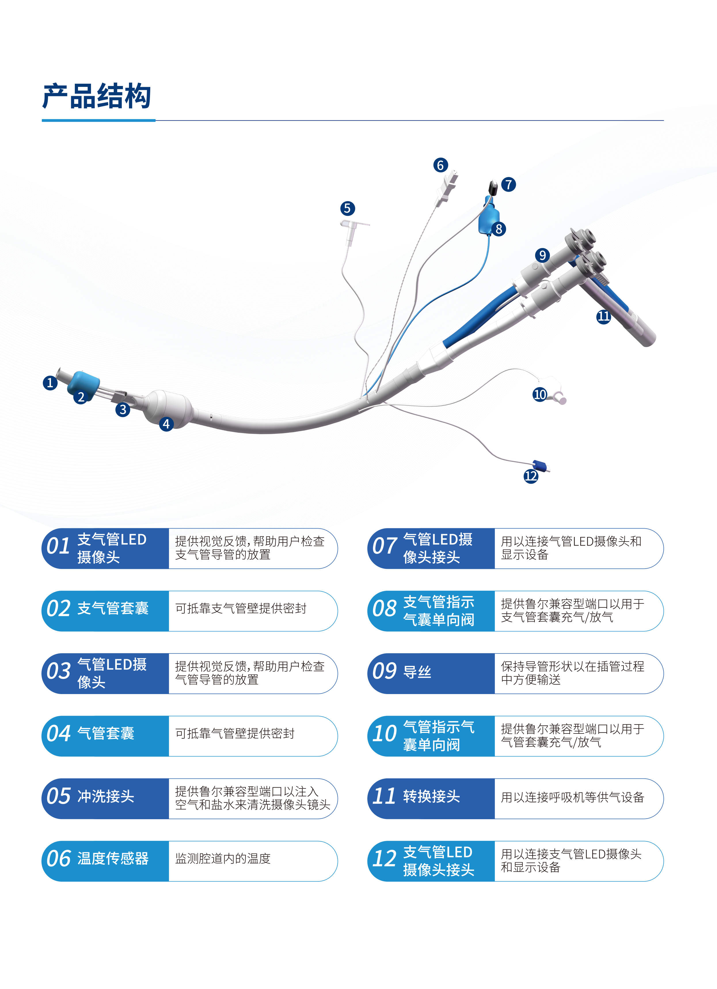 双腔气管导管图解图片