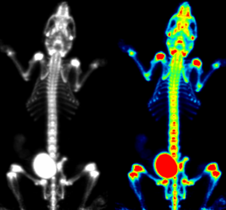PSA 小动物 PET/CT